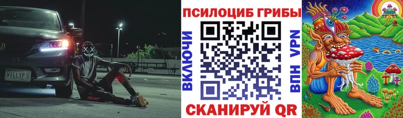 мега рабочий сайт  наркотики  Карабулак  Псилоцибиновые грибы мицелий 